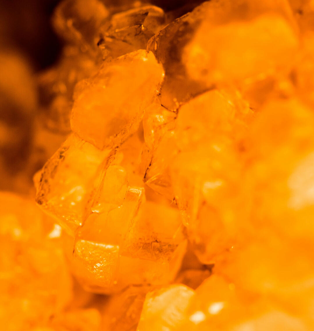 Molly Toomey counselor mental health psychological counseling Jena Germany online Molly Toomey counselor mental health psychological counseling Jena Germany online