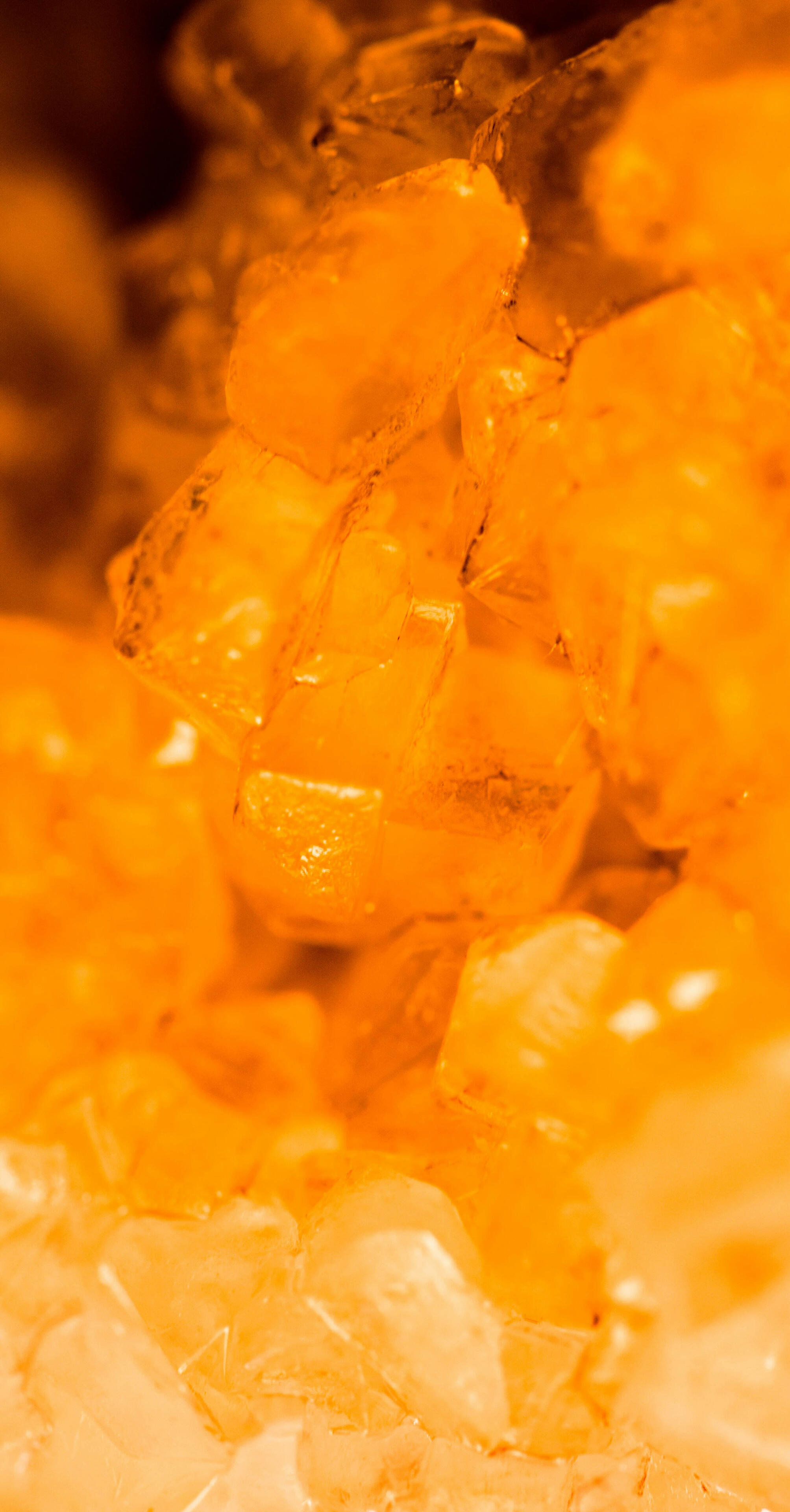 Molly Toomey counselor mental health psychological counseling Jena Germany online